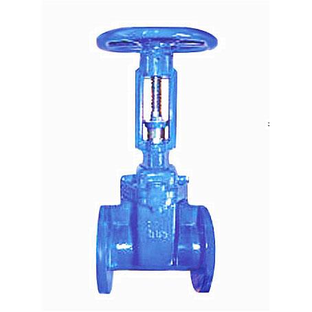 AWWA Resilient seated gate valve, NRS/RS, Flanged 250psi with Flange Type