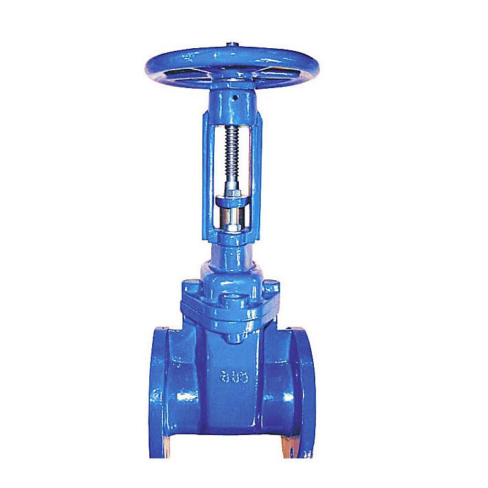 Resilient seated gate valve, RS, Flanged