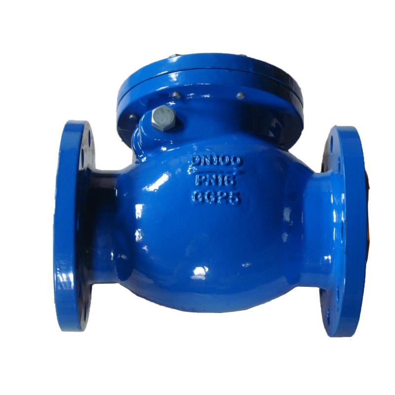 Cast iron swing check valve, DIN standard, Flanged, PN10/16