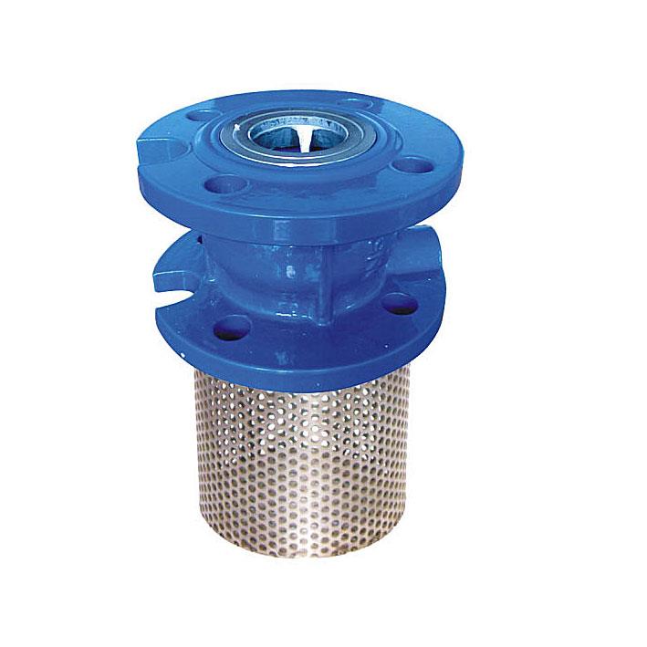 Cast iron vertical check valve, DIN standard, Flanged, PN10/16