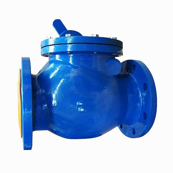 Swing check valve Flanged Ends